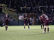 18.Spieltag BFC Dynamo - ZFC Meuselwitz,