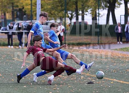 7.Spieltag BFC Dynamo U19 - VSG Altglienicke U19,