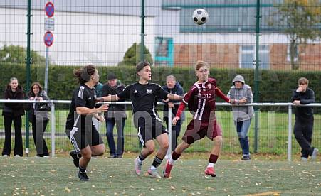 9.Spieltag BFC Dynamo U19 - BFC Preussen U19