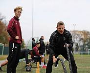 23.10.2019 Training BFC Dynamo