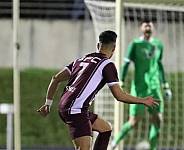 25.Spieltag SV Tasmania - BFC Dynamo,