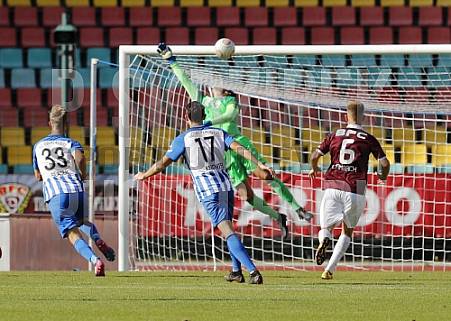 10.Spieltag BFC Dynamo - FC Oberlausitz Neugersdorf