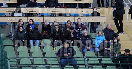 24.Spieltag BFC Dynamo - FC Energie Cottbus