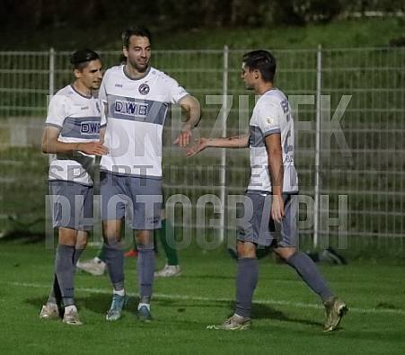 2.Runde AOK-Landespokal Füchse Berlin - BFC Dynamo