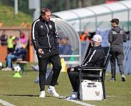 29. Spieltag BFC Dynamo - FC Hertha 03 Zehlendorf