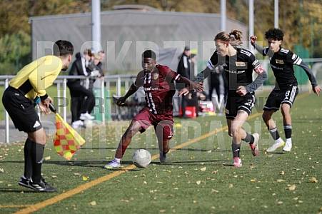 8.Spieltag BFC Dynamo U17 - 1.FC Union U16