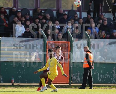 15.Spieltag BFC Dynamo - VfB Auerbach,