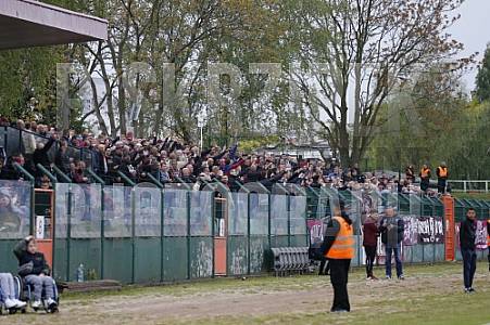 32.Spieltag BFC Dynamo - SV Babelsberg 03 ,