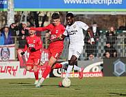 20.Spieltag ZFC Meuselwitz - BFC Dynamo