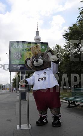 Werbung mit Teddy für die 1.Runde im DFB-Pokal