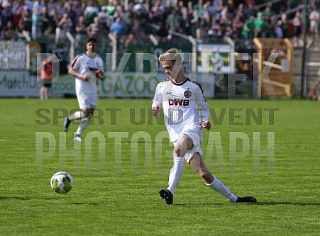 29.Spieltag BSG Chemie Leipzig - BFC Dynamo 29.Spieltag BSG Chemie Leipzig - BFC Dynamo