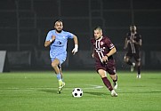 14.Spieltag BFC Dynamo - FC Viktoria 1889 Berlin