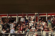 Halbfinale Berliner Pilsner-Pokal BFC Dynamo - Tennis Borussia Berlin