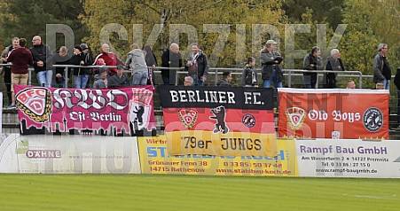 12.Spieltag FSV Optik Rathenow - BFC Dynamo,