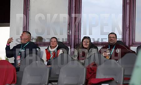 8.Spieltag BFC Dynamo - Tennis Borussia Berlin,