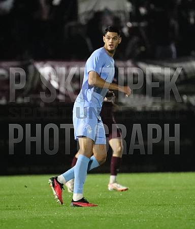 12.Spieltag BFC Dynamo - FC Viktoria 1889 Berlin