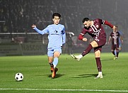 14.Spieltag BFC Dynamo - FC Viktoria 1889 Berlin