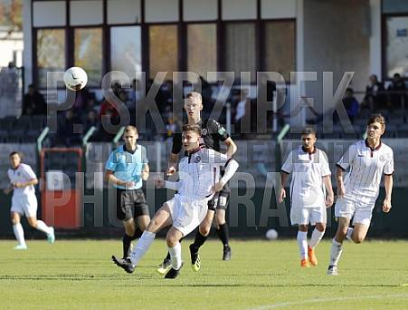 8.Spieltag BFC Dynamo U19 - FC Energie Cottbus U19 ,