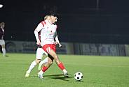 18.Spieltag BFC Dynamo - Hallescher FC