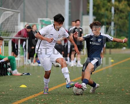 3.Spieltag BFC Dynamo U19 - SV Babelsberg 03 U19