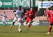 20.Spieltag ZFC Meuselwitz - BFC Dynamo