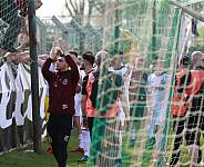 29.Spieltag BSG Chemie Leipzig - BFC Dynamo