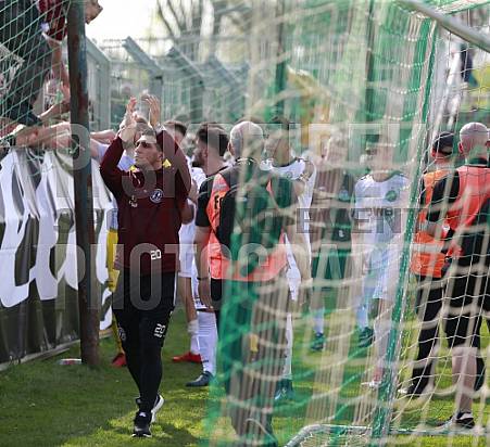 29.Spieltag BSG Chemie Leipzig - BFC Dynamo