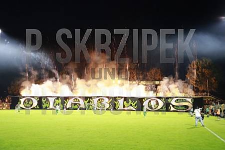 9.Spieltag BSG Chemie Leipzig - BFC Dynamo 9.Spieltag BSG Chemie Leipzig - BFC Dynamo