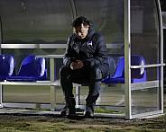 28.Spieltag BFC Dynamo - Hertha BSC II,