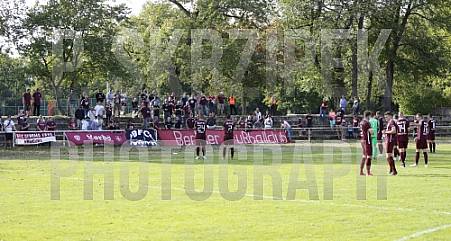 1.Runde AOK-Landespokal FC Concordia Wilhelmsruh 1895 - BFC Dynamo