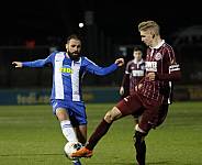 24.Spieltag Hertha BSC II - BFC Dynamo