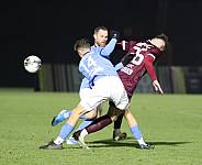20.Spieltag BFC Dynamo - Chemnitzer FC,