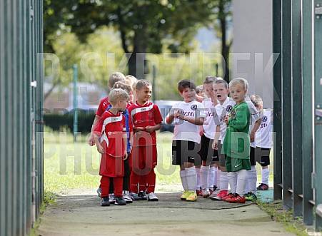 3.Spieltag BFC Dynamo U19 - FC Carl-Zeiss Jena U19