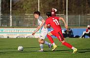 21.Spieltag ZFC Meuselwitz - BFC Dynamo