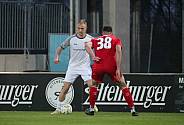 21.Spieltag ZFC Meuselwitz - BFC Dynamo