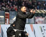 35.Spieltag BFC Dynamo - Tennis Borussia Berlin,