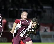 24.Spieltag BFC Dynamo - ZFC Meuselwitz,