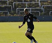 8.Spieltag BFC Dynamo U19 - FC Energie Cottbus U19 ,