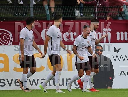 1.Spieltag BFC Dynamo - FSV Zwickau,