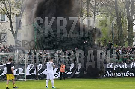 29.Spieltag BSG Chemie Leipzig - BFC Dynamo