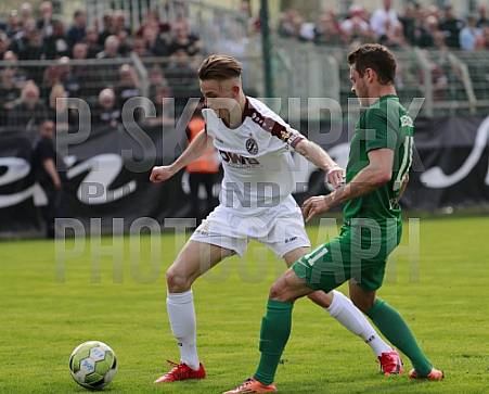 29.Spieltag BSG Chemie Leipzig - BFC Dynamo