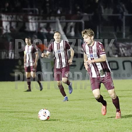 20.Spieltag BFC Dynamo - 1.FC Lokomotive Leipzig,