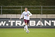 17.Spieltag FSV Zwickau - BFC Dynamo