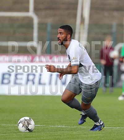 8.Spieltag BFC Dynamo - Tennis Borussia Berlin,