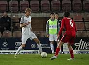 21.Spieltag ZFC Meuselwitz - BFC Dynamo