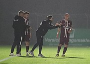 14.Spieltag BFC Dynamo - FC Viktoria 1889 Berlin