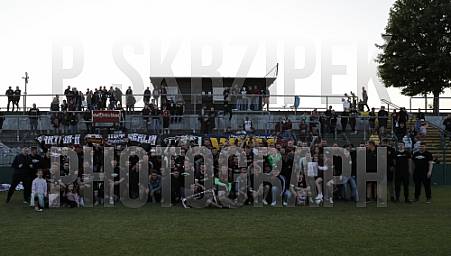 BFC Dynamo - BFC Dynamo Allstars Team,