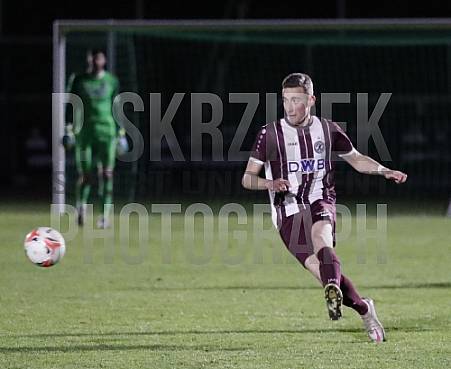 24.Spieltag BFC Dynamo - ZFC Meuselwitz,