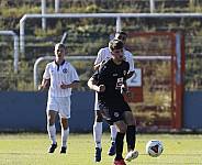8.Spieltag BFC Dynamo U19 - FC Energie Cottbus U19 ,