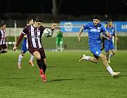 25.Spieltag SV Tasmania - BFC Dynamo,